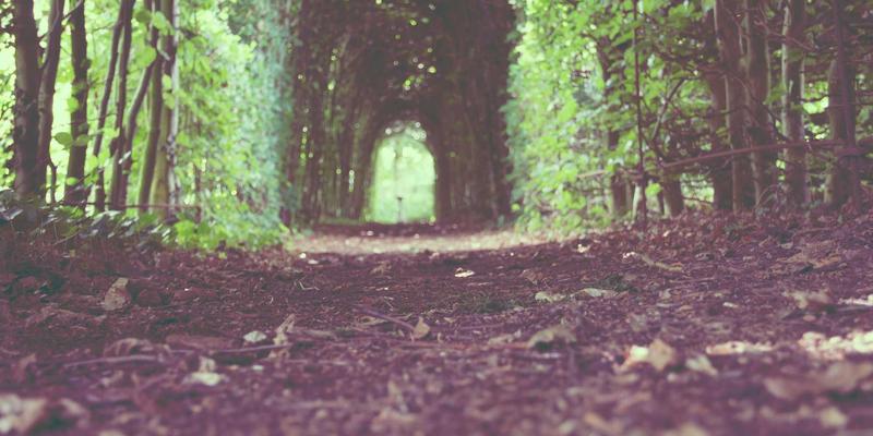 智造引擎，驱动未来：解码河南德龙达如何以工业解决方案重塑区域经济版图